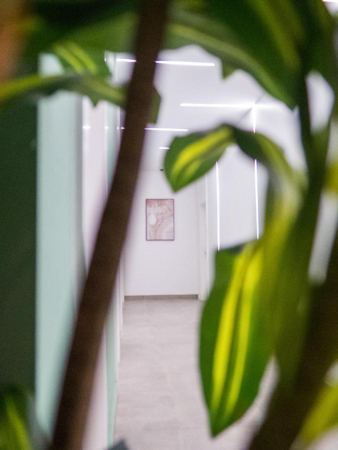 Hotel Hiba Нуакшот Екстер'єр фото